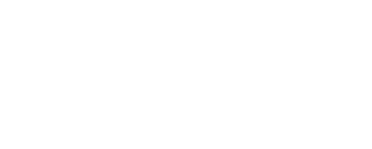 Culture Ireland logo