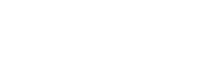 The Arts Council of Ireland logo